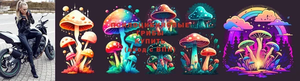 хмурый Елизово