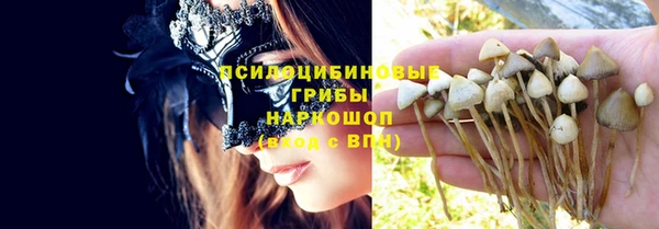 марки lsd Абаза