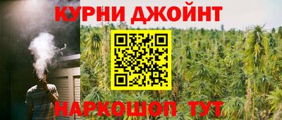 шишки Ковров