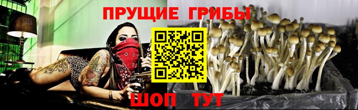 Галлюциногенные грибы Magic Shrooms Ялта