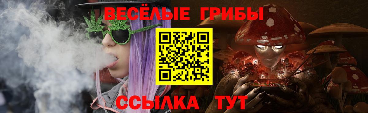 Ялта  Псилоцибиновые грибы прущие грибы  Вход с VPN  Галлюциногенные грибы мицелий 